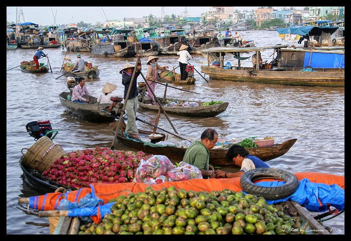 6. Chợ nổi Tây Nam Bộ Chợ nổi là một loại hình chợ thường xuất hiện tại vùng sông nước được coi là tuyến giao thông chính. Nơi cả người bán và người mua đều dùng ghe/thuyền làm phương tiện vận tải và di chuyển. Địa điểm có chợ nổi thường tại các khúc sông không rộng quá mà cũng không hẹp quá. Khúc sông phải tương đối rộng, không cạn quá mà cũng không sâu quá. Nếu sông sâu quá, lớn quá thì không thể neo đậu ghe, xuồng một cách dễ dàng và rất nguy hiểm.